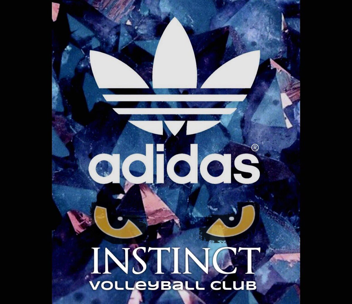 InstinctVBC's tweet image. Reminder. Sunday September 15th starting at noon, club season 19/20 uniform fitting, club orientation meeting, recruiting meeting (15s and up) and much more. Check website for schedule. Can not wait to see you all! #goINSTINCT! #instinctFAMILY #trustyourINSTINCT