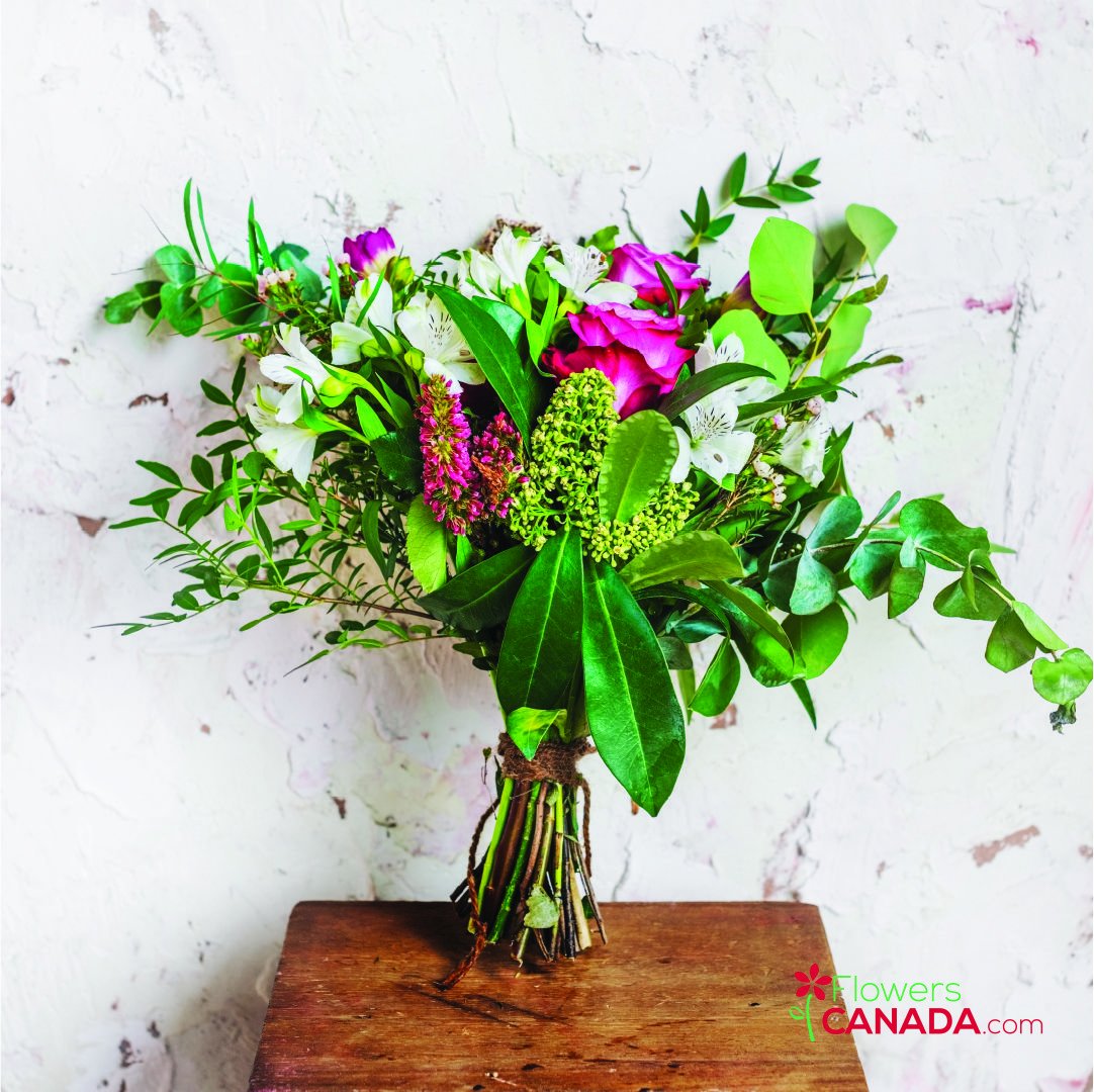 Who's day are you going to make today?
🇨🇦 We deliver flower love anywhere in Canada!
💐 Shop Now: flowerscanada.com