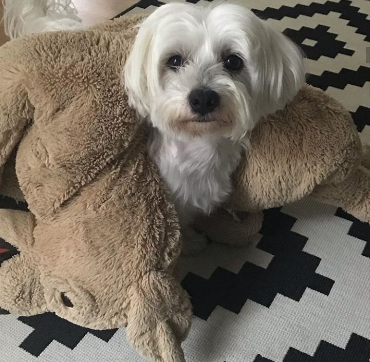 Théodore Jodion (@jodiontheodore) on Twitter photo 