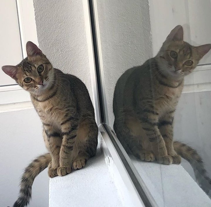 Bon après Midi à vous 😊