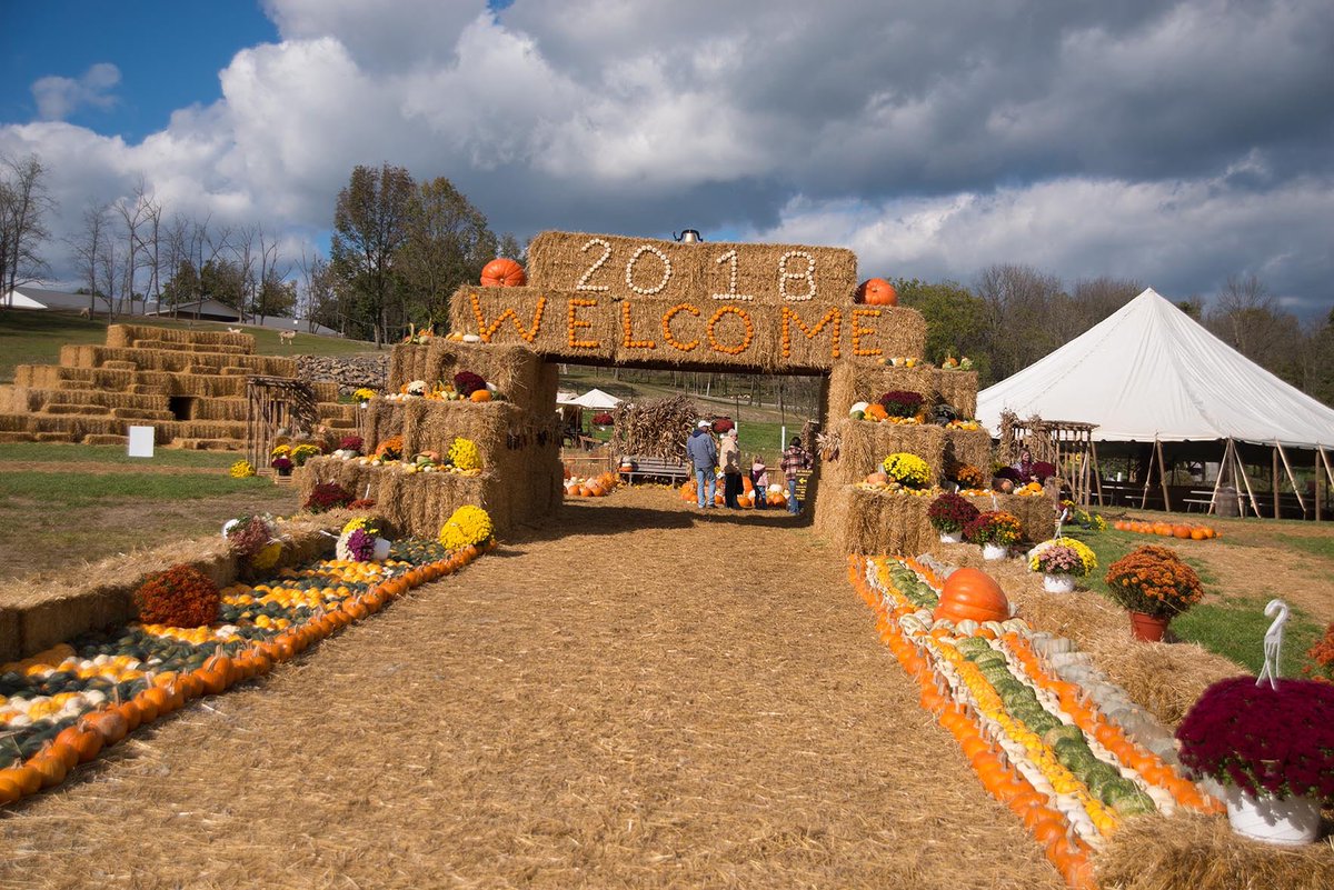 Our annual Fall Festival is coming up October 11 to 26. Make plans to be there! 
.
.
#amishcountryohio #walnutcreekohio #animalpark #giraffe