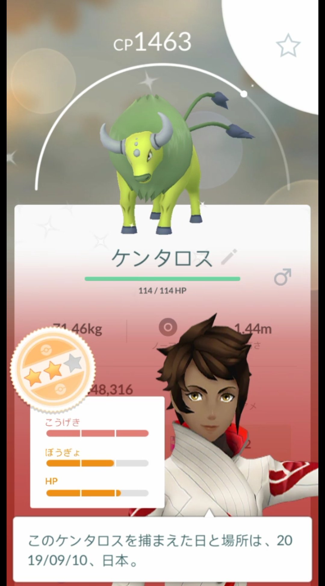 色違いケンタロス Twitter Search Twitter