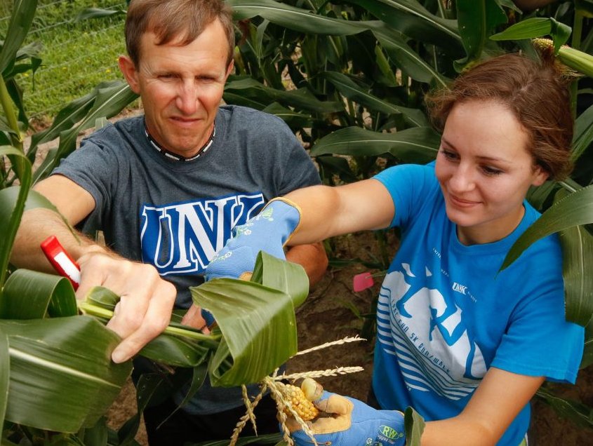 NebraskaEPSCoR's tweet photo. Farmers at #HHD19:
find @NE_CRRI with @UNL_IANR onsite,
for the latest science on what you grow!

* Wed 11 Sep 12:30pm, 
@UNLincoln
 engineers' #agrobotics

* Thu 12 Sep 11:30am, 
@UNKearney
 Bio's Paul Twigg

See demos &amp; ask questions -- we're here for YOU!
#NUforNE https://t.co/9vWn6tED3v
