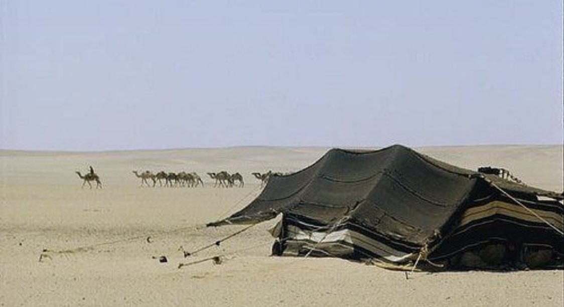 ,ِخالدالتمامي.ِ tweet media