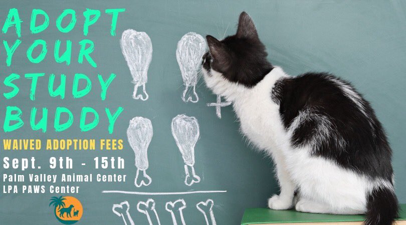 palm valley adoption