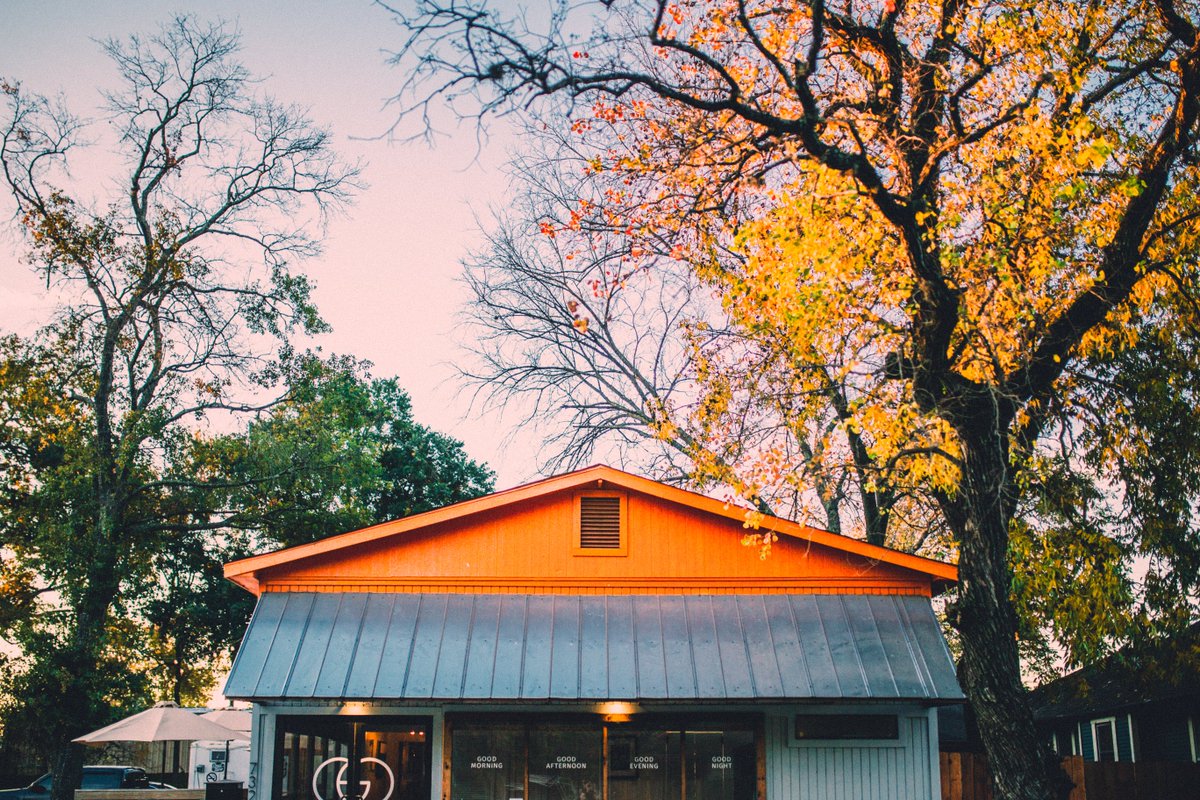 Through Good Coffee tweet media