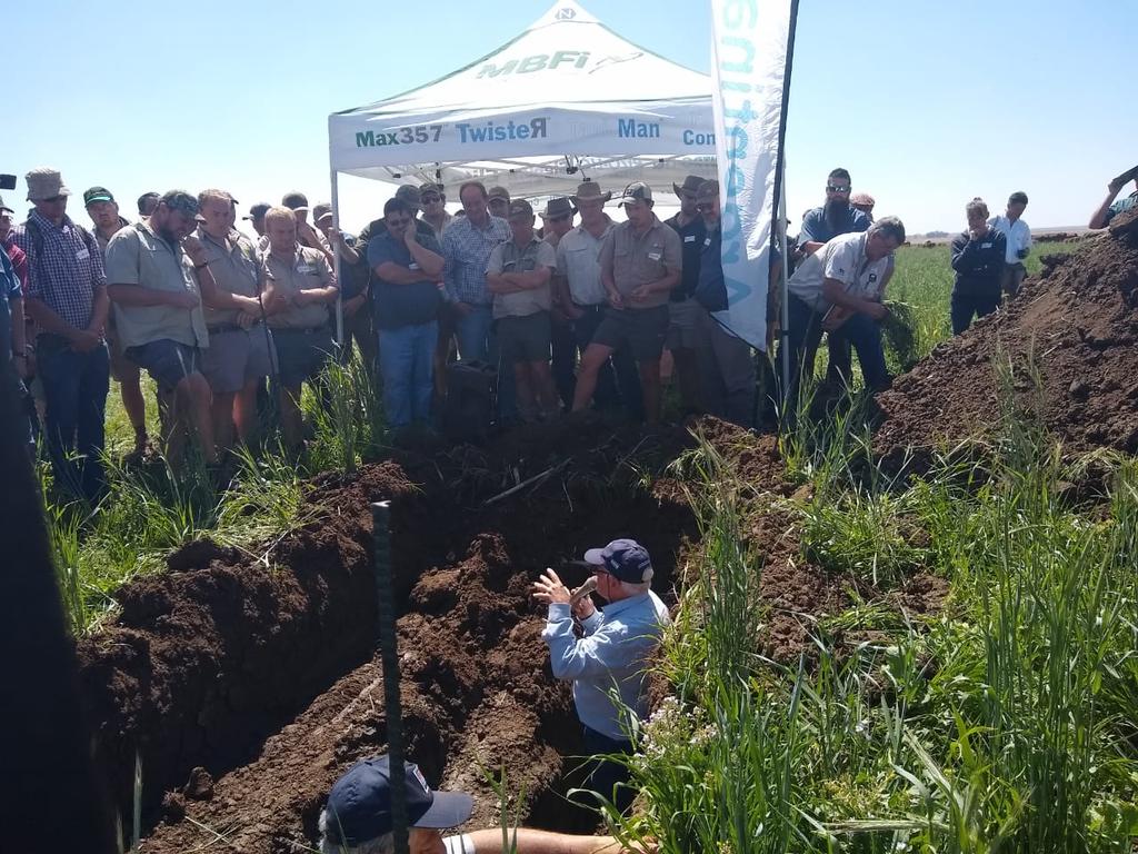 INTAAgroind's tweet photo. #SomosINTA
@intaargentina junto a @CancilleriaARG, @CIDETER_CECMA, #CAFMA y #CFI están llevando a cabo el 3° #FarmerDay Argentino 🇦🇷 en Sudáfrica 🇿🇦

A una convocatoria de 100 farmers los Ings. #CarlosGalarza y #ManuelFerrari capacitan sobre #SiembraDirecta y #MaquinariaAgrícola. https://t.co/KEGvt0OcLi