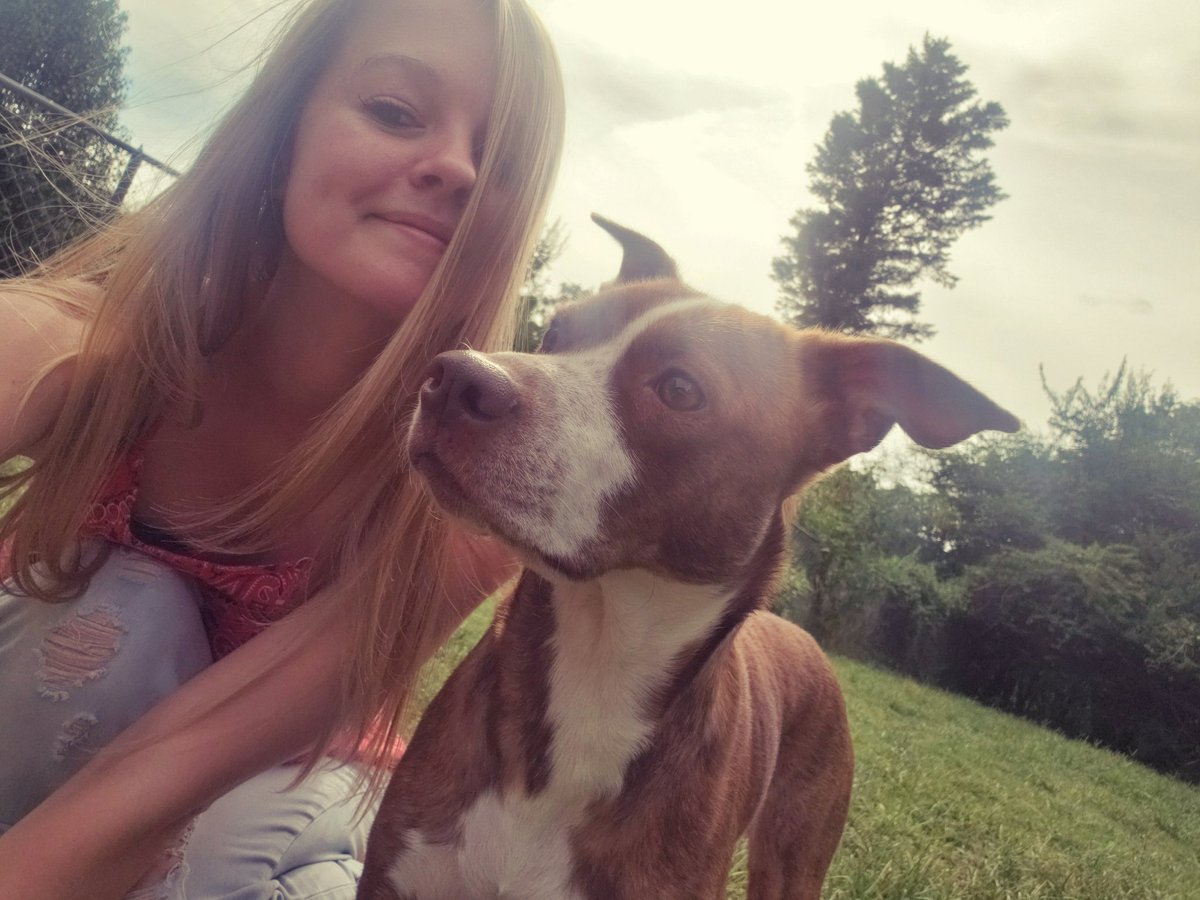 Hollywood19Miss's tweet image. Anything is paws-ible with a dog by your side.🐶🐾❤ #dog #dogs #dogsoftwitter #pet #ilovemydog #animallover #pitbull #pitbullmix #pitbullsoftwitter #rescuedogsoftwitter