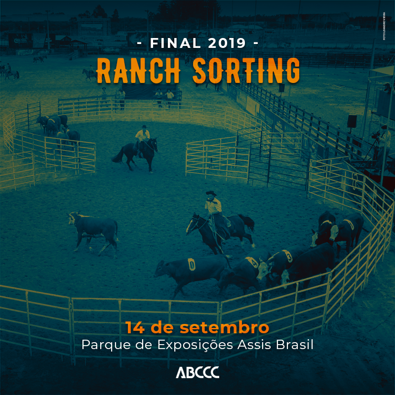 ABCCCoficial's tweet photo. A modalidade que abrange a família tem final marcada para este sábado, 14 de setembro, em Esteio/RS. Com mais de 200 duplas disputando provas no ciclo, é a segunda final oficial na raça Crioula: https://t.co/SVqFmqDwlM
#ABCCC #CavaloCrioulo #RanchSorting https://t.co/BzwMqZdNjL