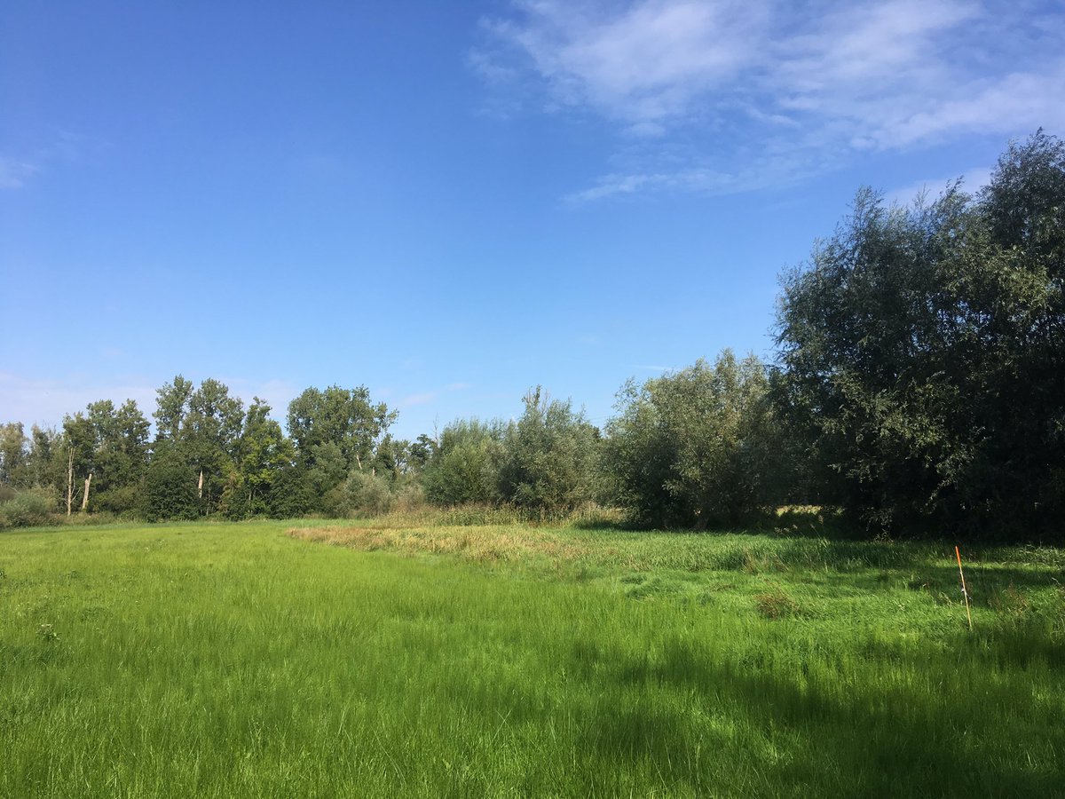 HTindemans's tweet image. Tijd vrij gemaakt om het buitengebied van @gemeentenuenen te verkennen. Hele mooie plekjes ontdekt