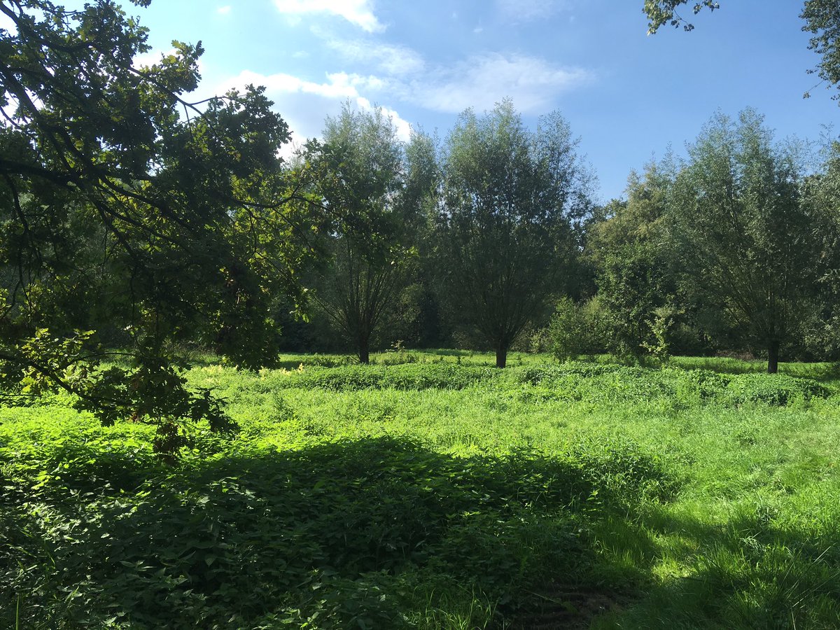 HTindemans's tweet image. Tijd vrij gemaakt om het buitengebied van @gemeentenuenen te verkennen. Hele mooie plekjes ontdekt