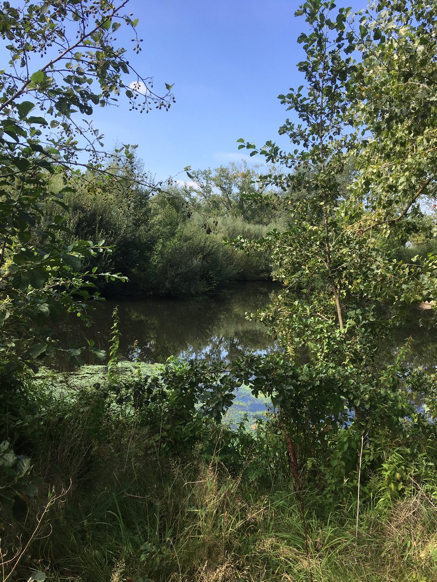 HTindemans's tweet image. Tijd vrij gemaakt om het buitengebied van @gemeentenuenen te verkennen. Hele mooie plekjes ontdekt