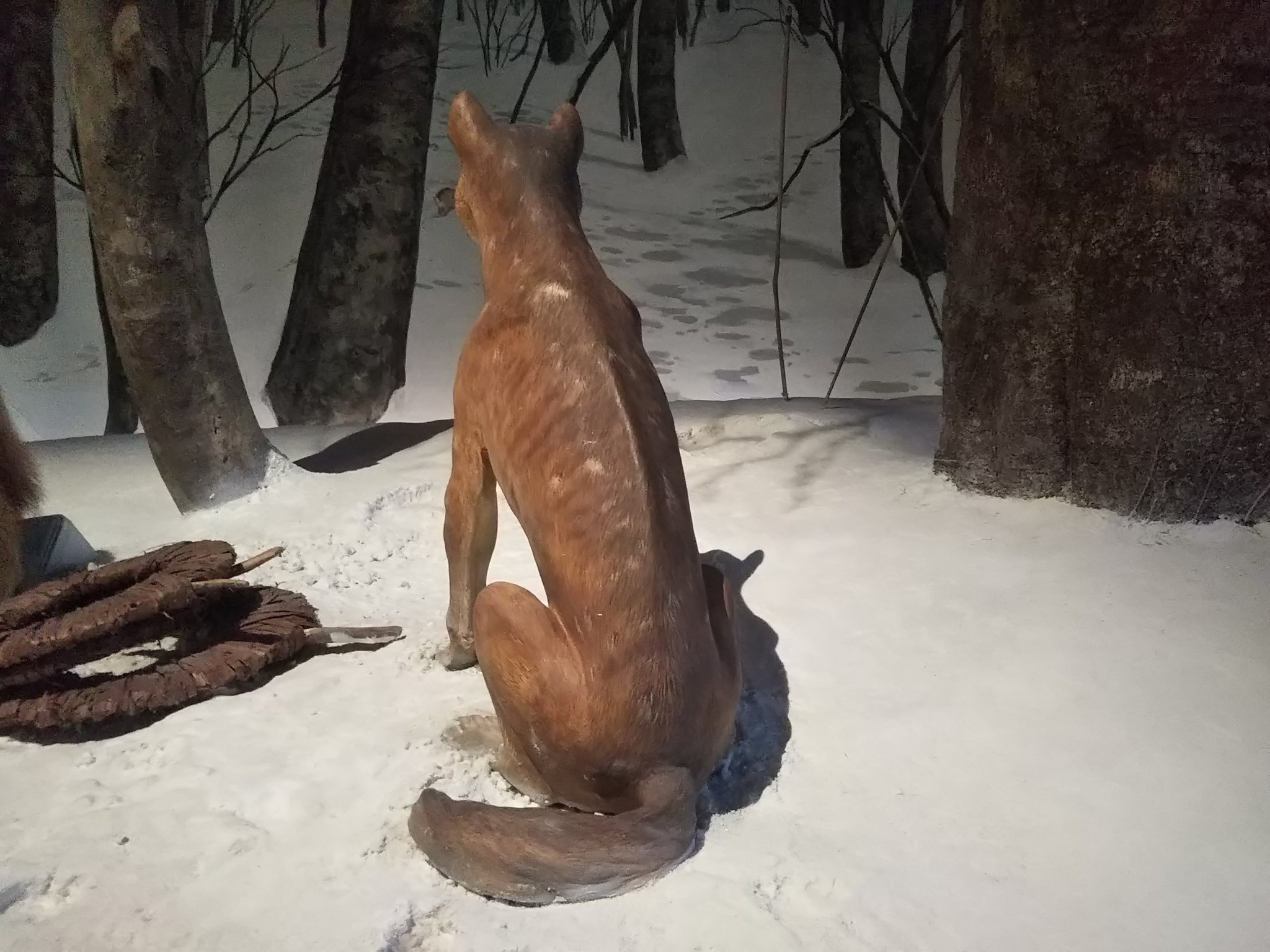 تويتر 黒織部 على تويتر 縄文時代の冬の狩り 獲物をさばく狩人たち 祈りを捧げる男 警戒を怠らない犬 褒められる犬 臨場感がすごい T Co S8arvltxtn