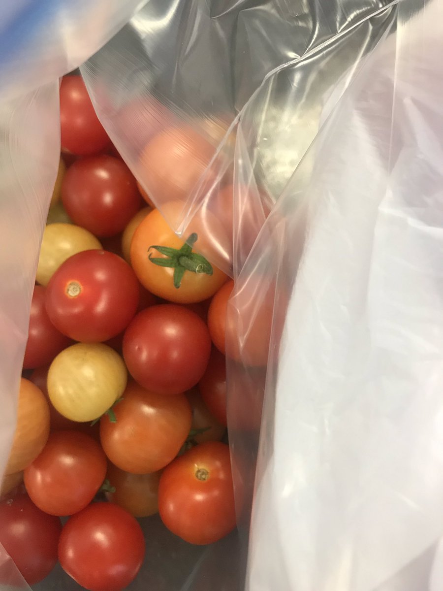GearyGators's tweet photo. Even more donations came in this morning! Can’t wait for lunch next week! @ASDWLimelight #asdwcommunityschools https://t.co/nyX1e8pBYL