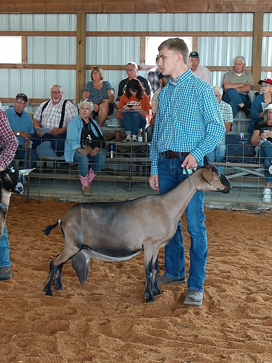 Carey_FFA's tweet photo. Reserve Grand Champion Dairy Doe! Good job Carson! https://t.co/FGpysyvgKx