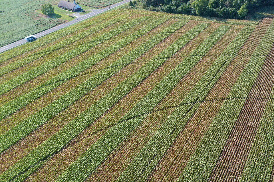 Ryan Permelia tweet media