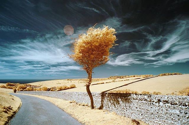 Just Posted New Infrared Art; ift.tt/34zAacF #CreativeIR #Infrared #Photography #InfraredPhotography