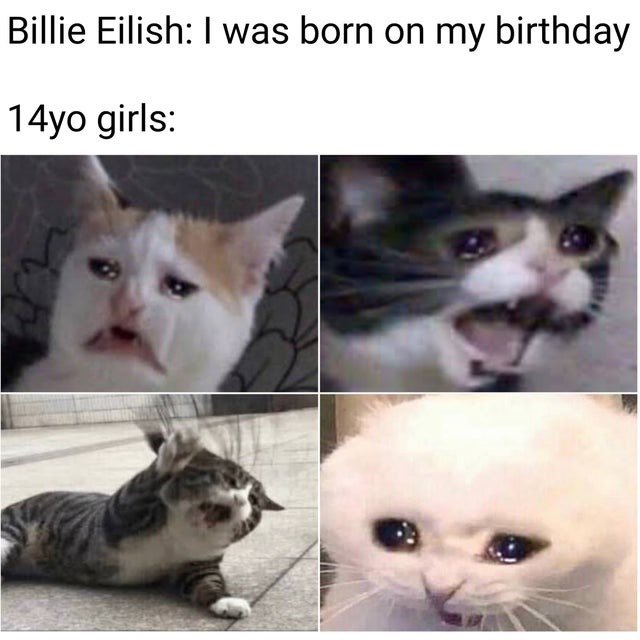 PixieSniffer's tweet photo. 😂 this is true #memes #meme #BillieEllish #oof #yeah #memesdaily https://t.co/phdUAsnaHN