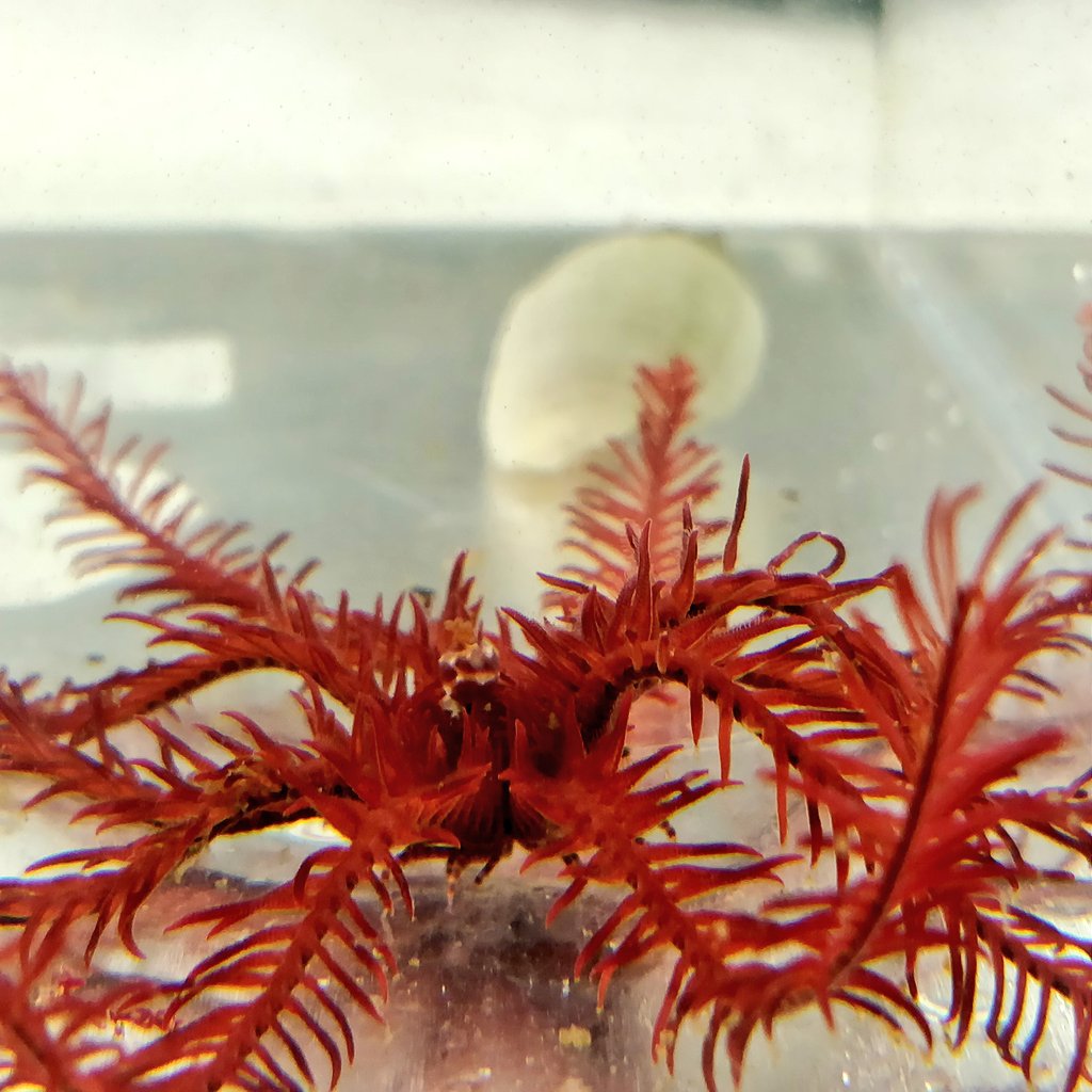 Adrienne Kerley tweet media