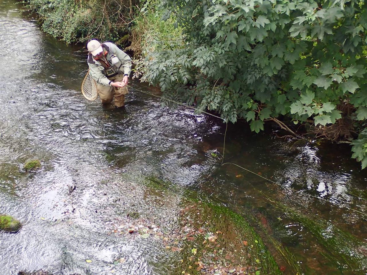 Pickering Fishery Association tweet media