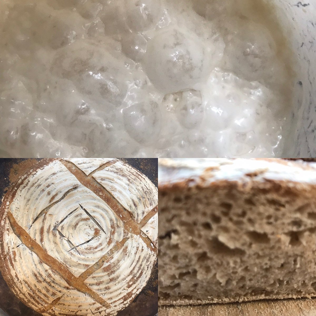 LouBaraDa's tweet photo. Will be watching @britishbakeoff tonight, my favorite week #breadweek ! Will be eating this tonight, my sourdough. See my next post for inspiration ๐ #gbbo2019 #baking #greatbritishbakeoff #sourdough #classof2019 #getbready https://t.co/bc3HjwWZ2s