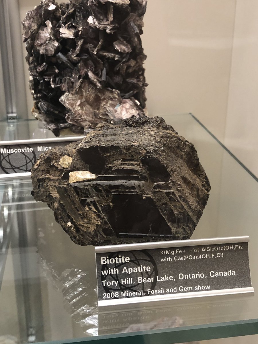 amanda___price's tweet photo. Also #TeamWhyNotBoth
Specimen in the @WUSTL_EPS mineral museum https://t.co/vk9RM9smFm