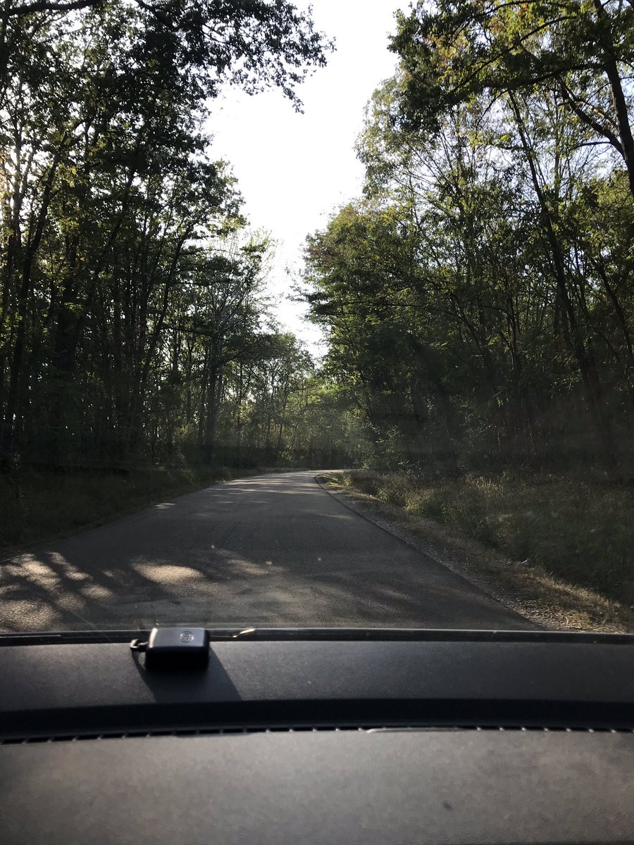 jaxxdotred's tweet photo. Ici, la cambrousse de l'Yonne, calme, agréable, ses bois, ses ânes, ses bornes de recharge rapides et gratuites du #SDEY https://t.co/QBD8Mi0k16