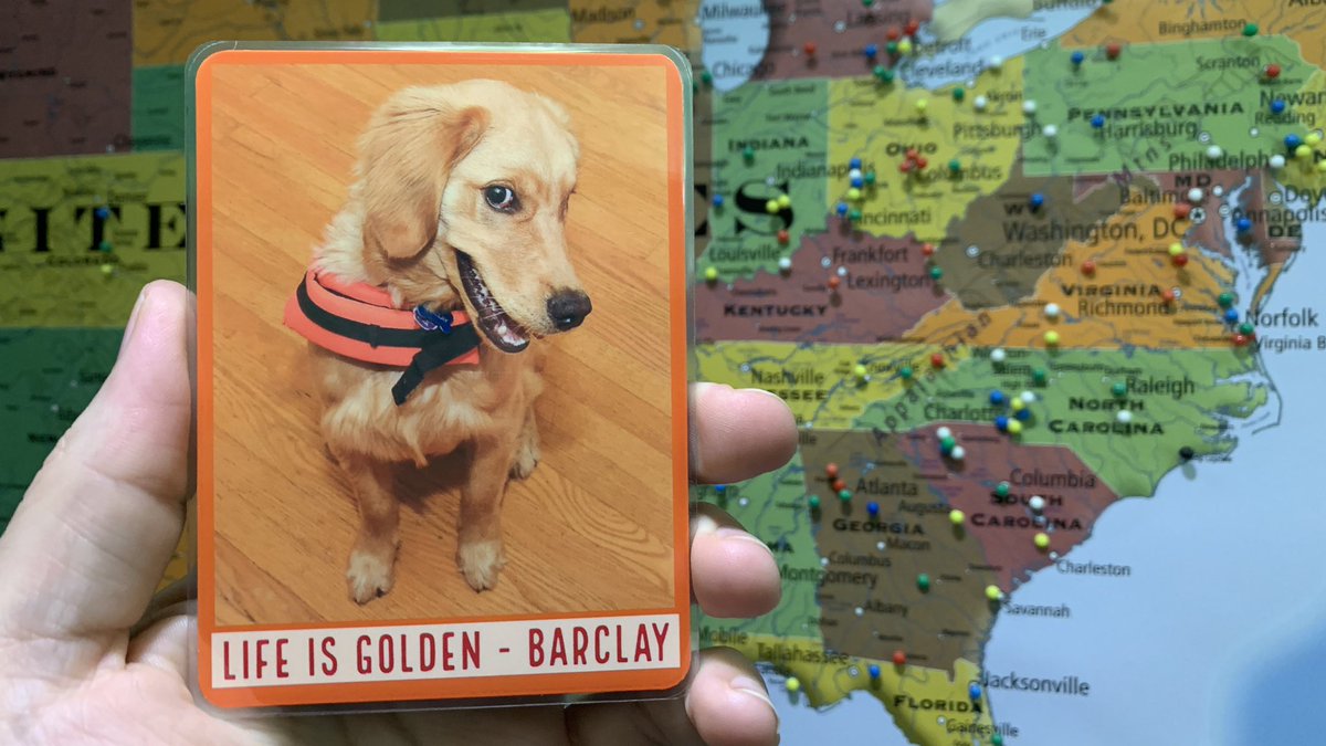 Gus_FTW's tweet photo. To get @Barclay_FTW ‘s birthday week rolling, I want to give away a few of my favorite magnets of him. He was just a little guy in this photo. He will turn 4 this Saturday and is as handsome as ever. Who wants one? Will randomly select from the comments. https://t.co/s3Femid79E