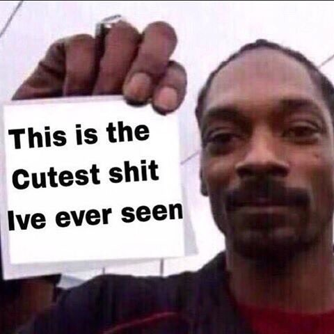 Snoop Dogg - This is the cutest shit I've ever seen
