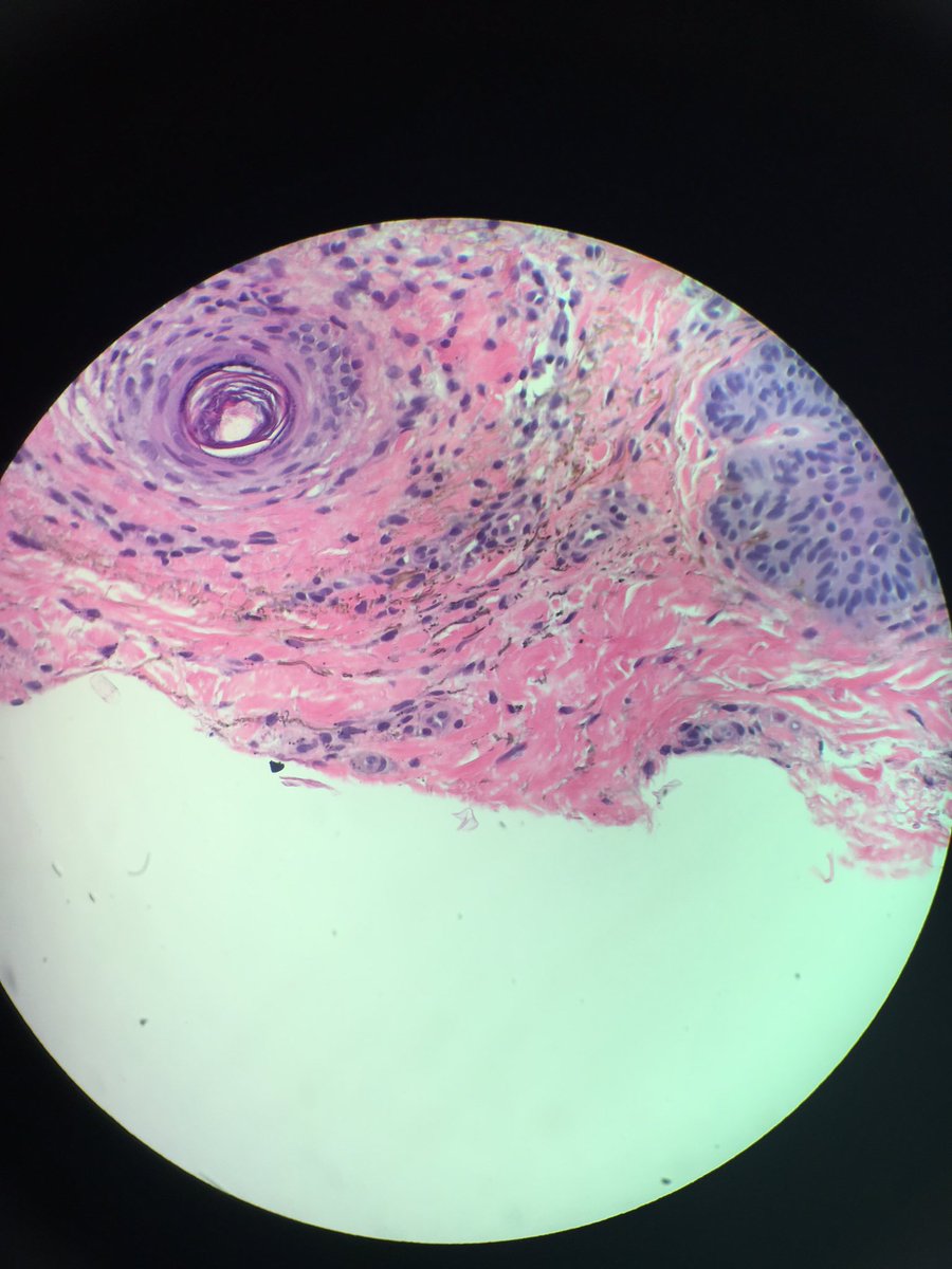 Etan Marks, DO tweet media