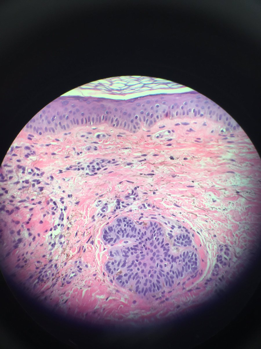 Etan Marks, DO tweet media