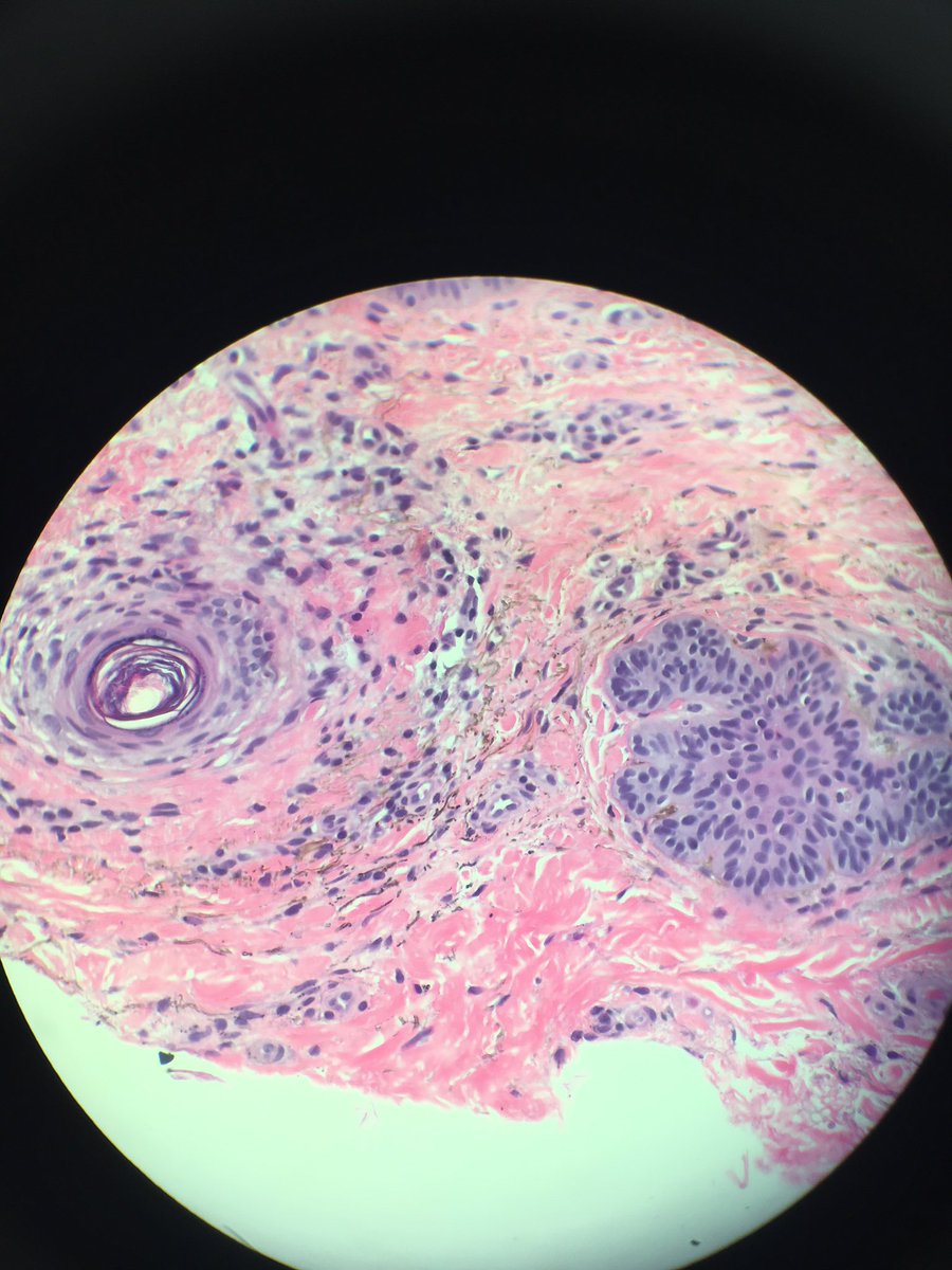 Etan Marks, DO tweet media