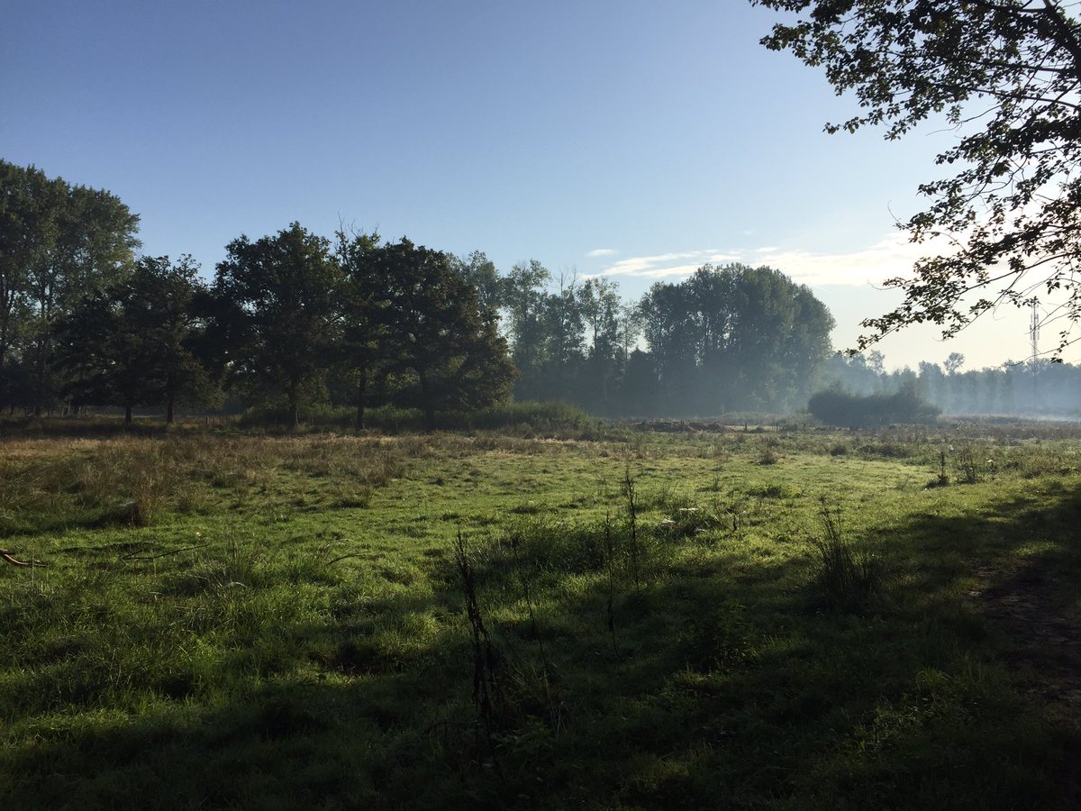arjensimons's tweet photo. Een prachtige ochtend in de gebieden van @Brab_Landschap @InHetGroeneWoud https://t.co/TLWR3B6bmH