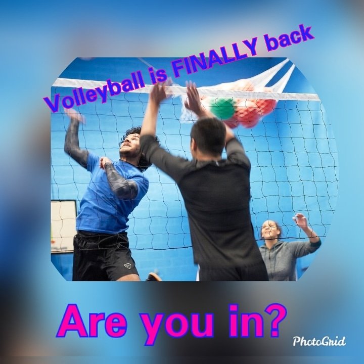 newhamsports's tweet photo. Our New #Volleyball season is about to start.First #training session tomorrow at 1.00 pm Sports Hall - F Block @talknewvic #exciting #onecollegeoneteam https://t.co/9Il5zi3uY0