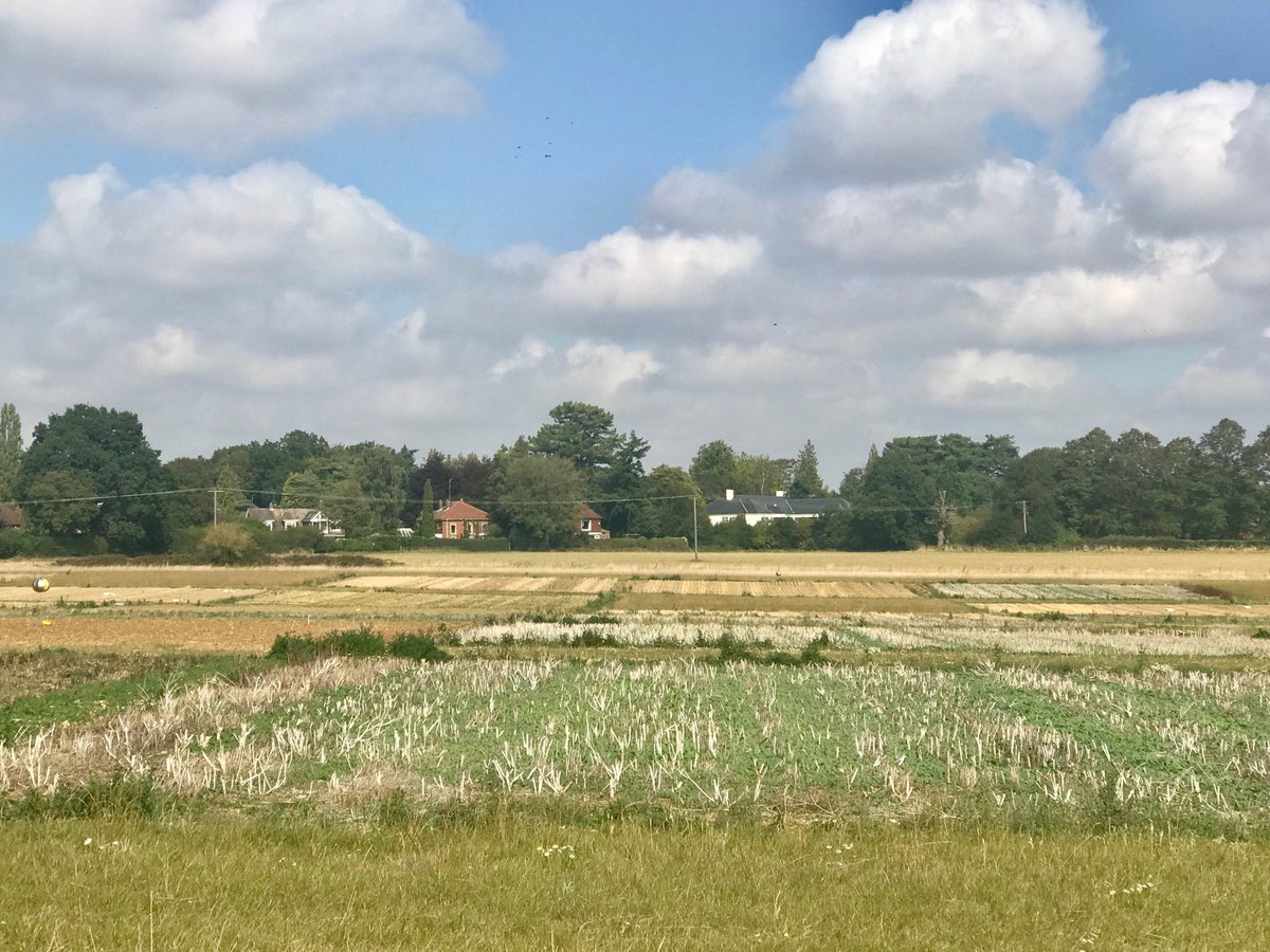 G_Pastori's tweet photo. At @Rothamsted Board today - lunch break and interesting tour to long term field experiments #LTE #agriculture #bioscience https://t.co/TTnU2ReYp6
