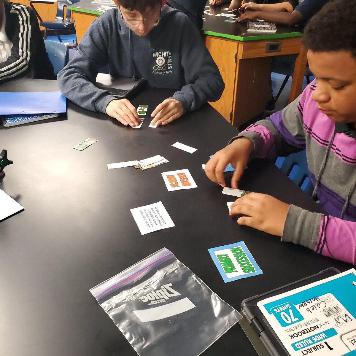 Shoes_on_Point2's tweet photo. Primary/secondary succession #sciencerocks #betheone #iamwfisd @checkeyesci @KirbyWFISD https://t.co/a6Gqlackjz