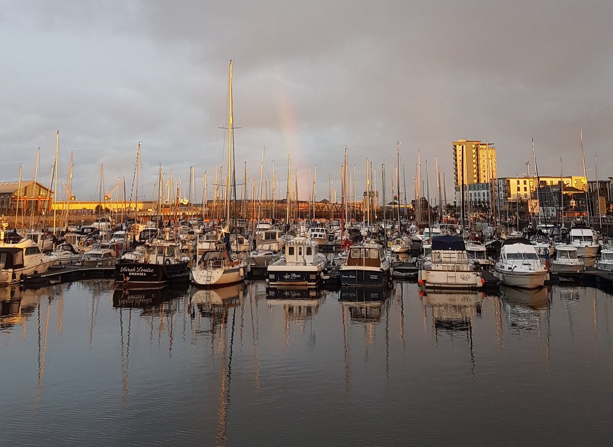 Rose Mortimer tweet media