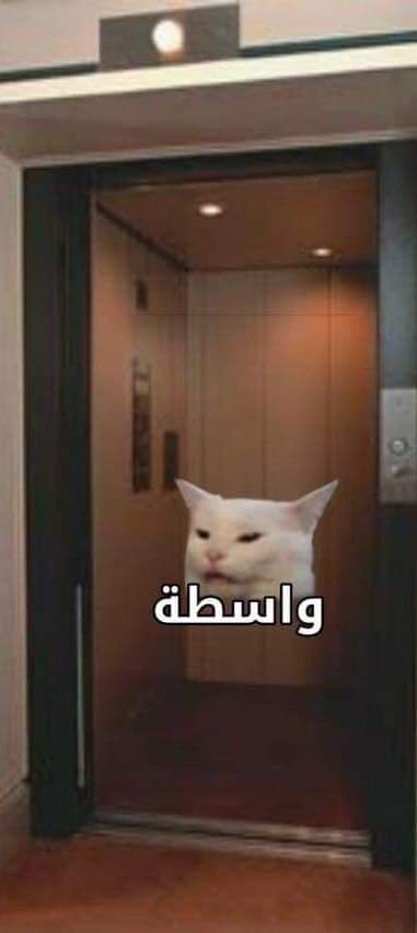 egymeme11's tweet photo. https://t.co/XF8YbC22Rm