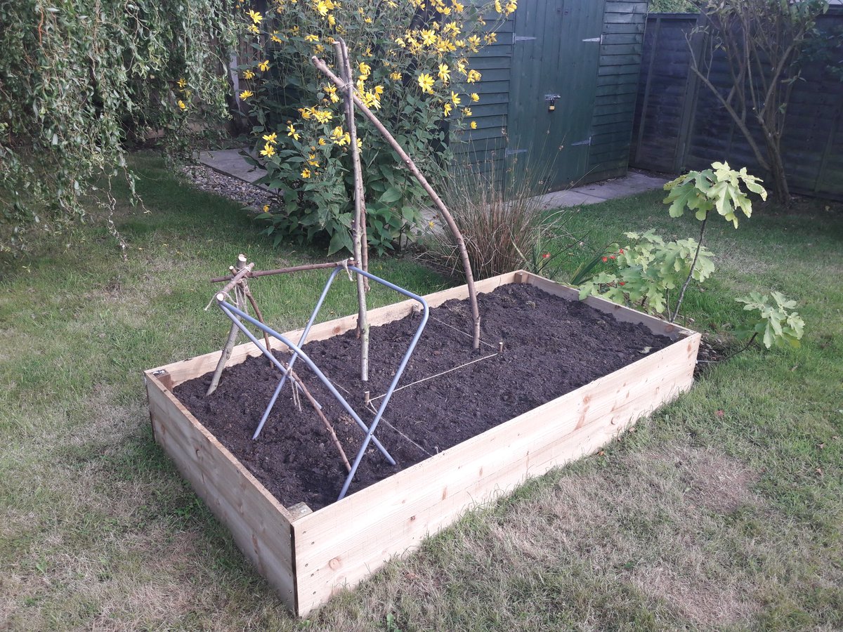 alibrandbarker's tweet image. Back in the #twittersphere and excited about my new but tiny #vegpatch! Peas, beans, kale, radishes and potatoes. #smallbutbeautiful And yes, that is an old laundry basket...