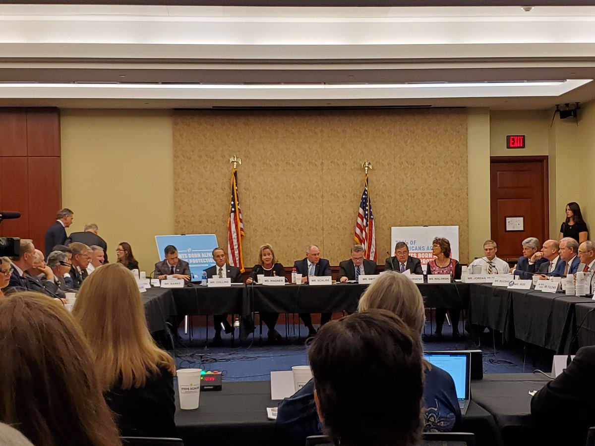 stephanies_sfla's tweet photo. The hearing begins. Everyone should agree that babies born alive after attempted abortions deserve protection. ✌💜 #ResistInfanticide #HumanRights #ProLifeGen https://t.co/3HnIu0XDY0