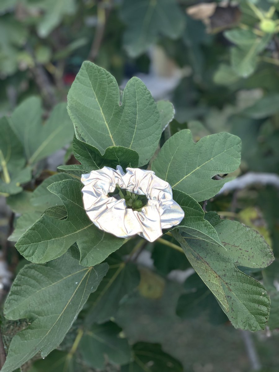 pgcrafts_'s tweet photo. New reflective scrunchie!! Great for Halloween night ! https://t.co/dRM9Zwq8J0