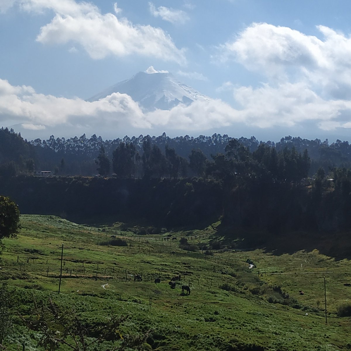 CotopaxiNoticia's tweet photo. #Latacunga amaneció este martes 10 de septiembre de 2019 con una sensación térmica de entre -1ºC y 1ºC (#MuyFrío), cielo despejado (#PocasNubes) y #FuerteSol 👉 https://t.co/NFd6EknEnd @inamhi https://t.co/sRpGTG3mST