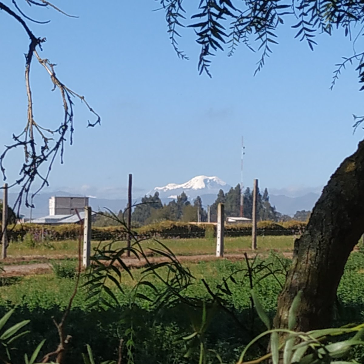 CotopaxiNoticia's tweet photo. #Latacunga amaneció este martes 10 de septiembre de 2019 con una sensación térmica de entre -1ºC y 1ºC (#MuyFrío), cielo despejado (#PocasNubes) y #FuerteSol 👉 https://t.co/NFd6EknEnd @inamhi https://t.co/sRpGTG3mST