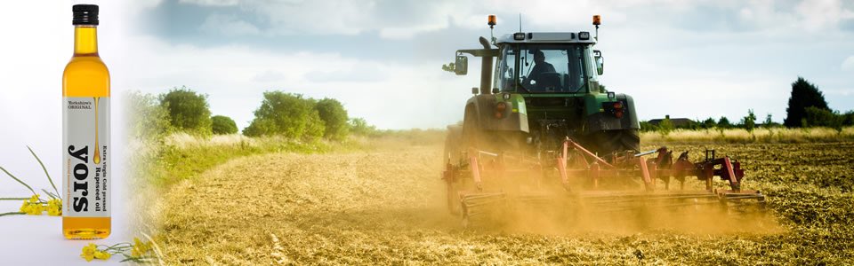 Come and see us <a href="/HarrogateFlower/">HarrogateFlowerShow</a> 13-15th September! Try our amazing home grown Cold Pressed Rapeseed Oils and more