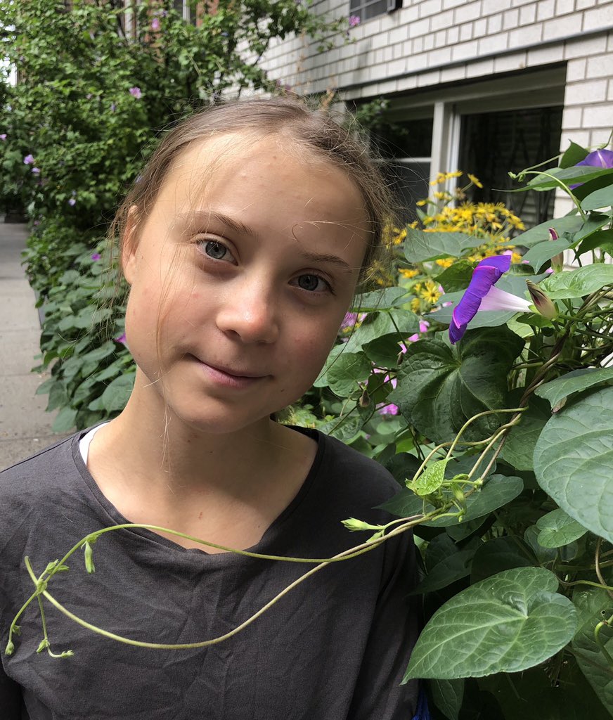 Greta Thunberg tweet media