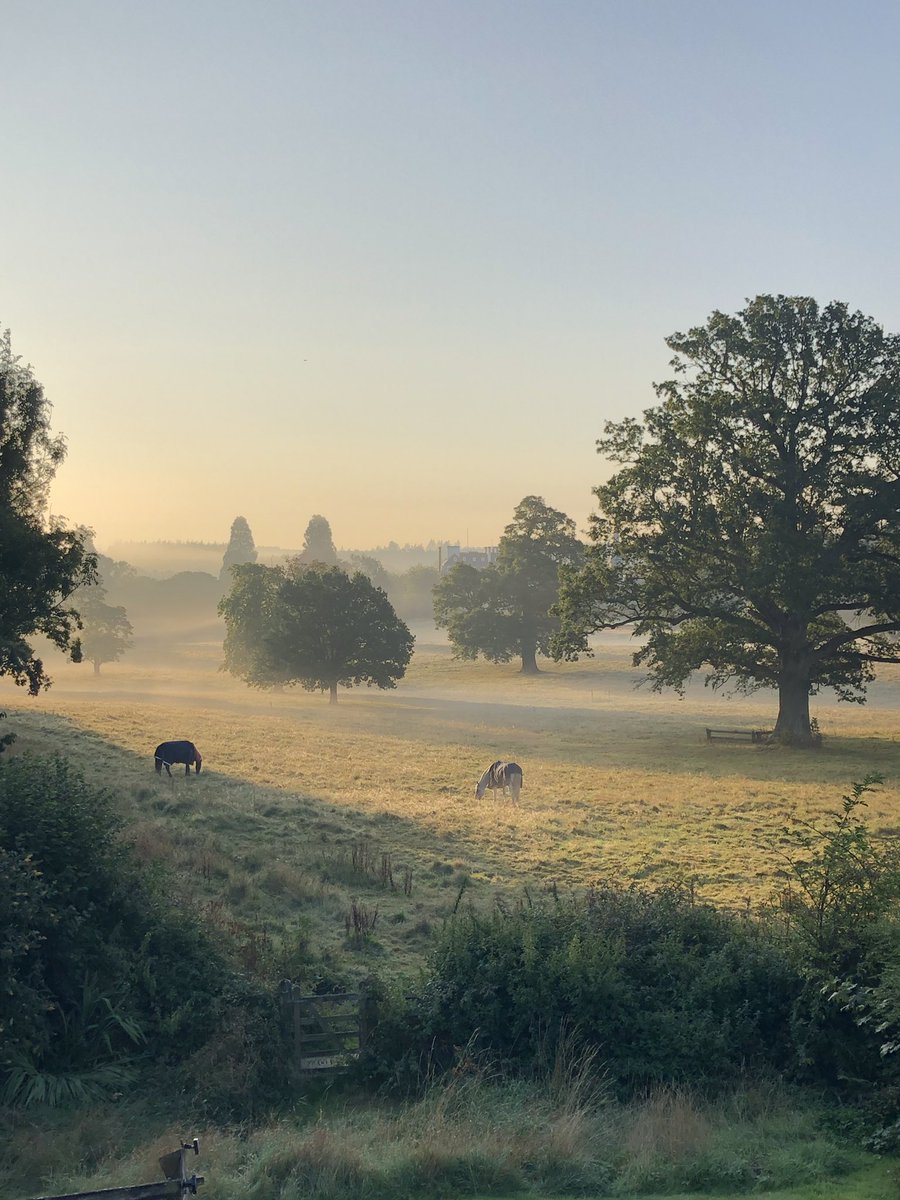 I’m making an effort to start every day with #gratitude . It wasn’t tricky this &amp; every morning with such a view from my bedroom window!