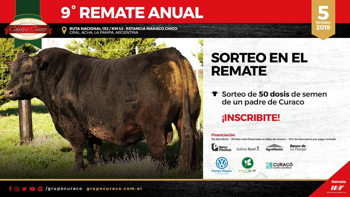 Sorteo!! 🐂
Los presentes en el 9° Remate Anual van a poder participar de un sorteo especial 👌😉
Ingresá a rematecuraco.com 🖥️ para registrarte 👍
Los esperamos el 5 de Octubre! 🔜