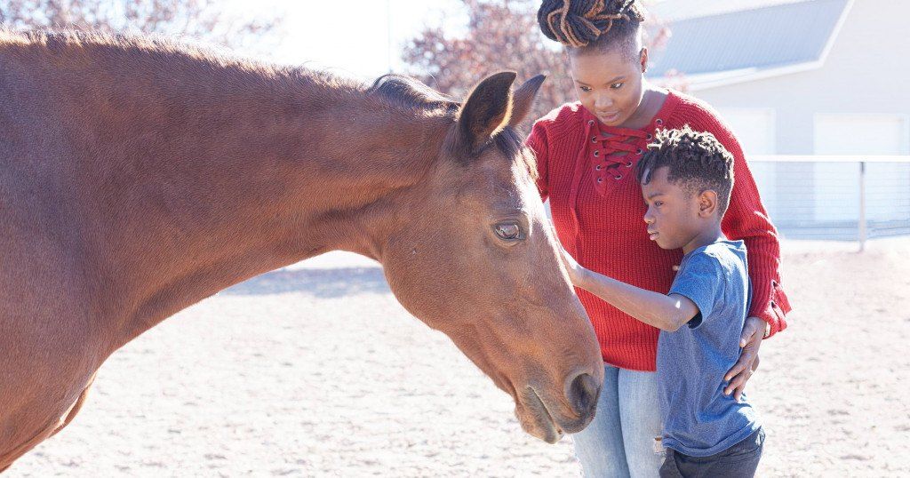 horsesconnect's tweet photo. “Without judgment, the horses mirror participant behavior, enabling them to self-reflect and jumpstart the healing process.” https://t.co/vHH9i5Q6pq https://t.co/A8nscQWbMH