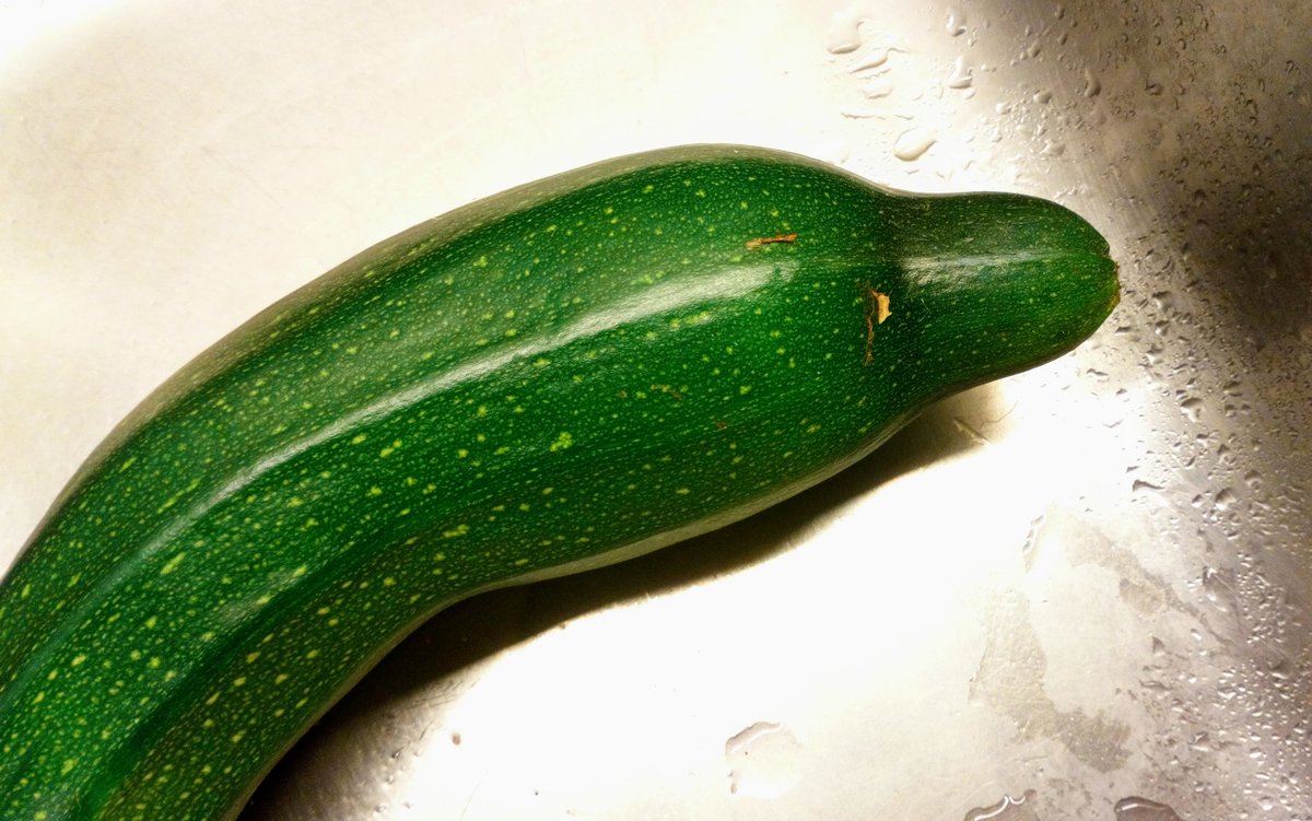 dieExplikatorin's tweet image. Die Erde hat mir heute einen Delphin geschenkt.