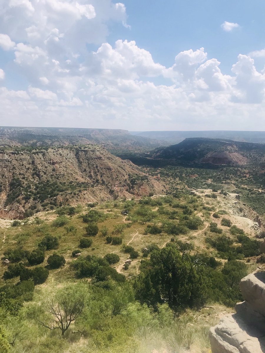 childrenatrisk's tweet photo. Let us take a moment to enjoy this view, because this Honey Butter Chicken Biscuit is just too pretty! Thanks @Whataburger for broadening our horizons! https://t.co/wkm5oRmrhB